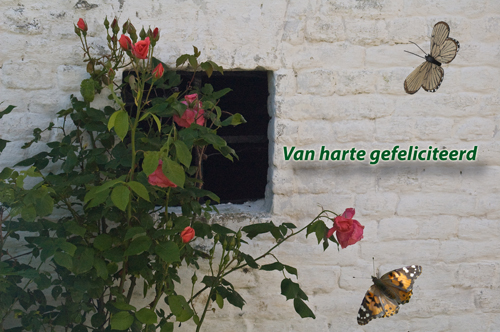 Klik voor een vergroting!